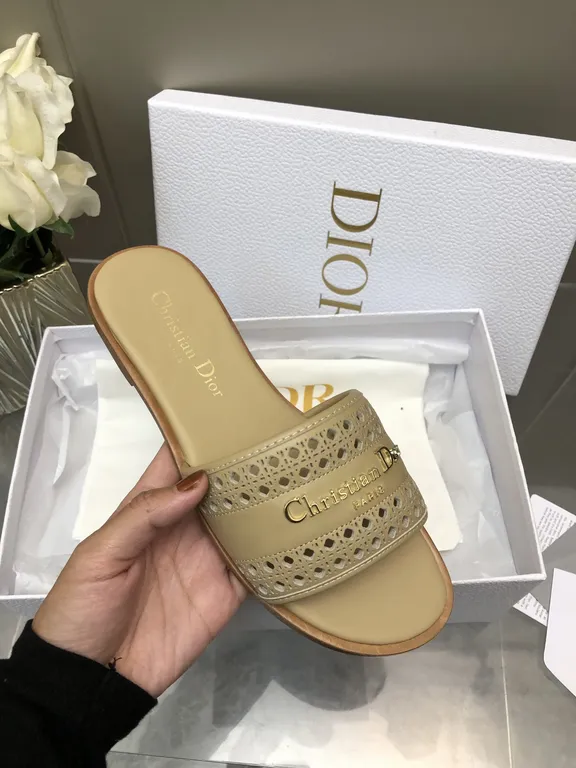 Dior Shoe 